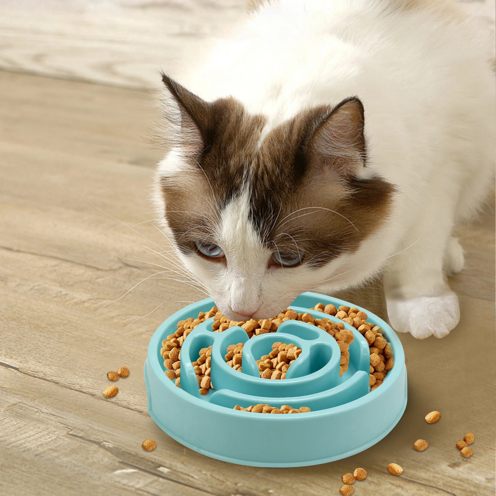 Pet  Feeder Bowl